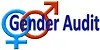 Gender Audit